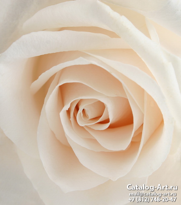 Натяжные потолки с фотопечатью - Белые розы 18